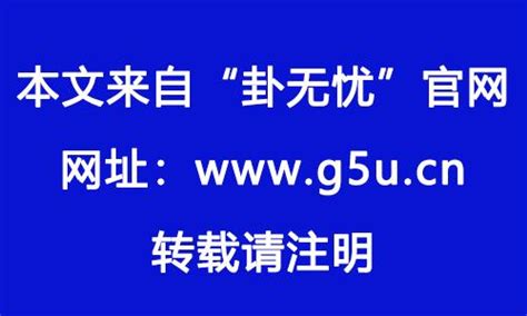 屬狗女1982|1982年属什么生肖的命 1982年属狗是什么命